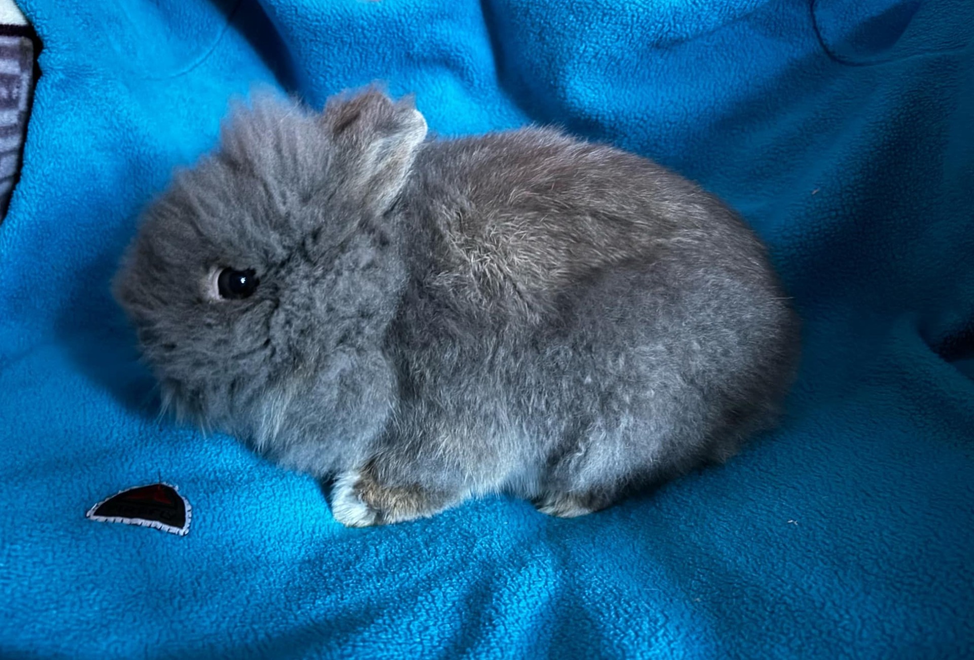 Sebastian